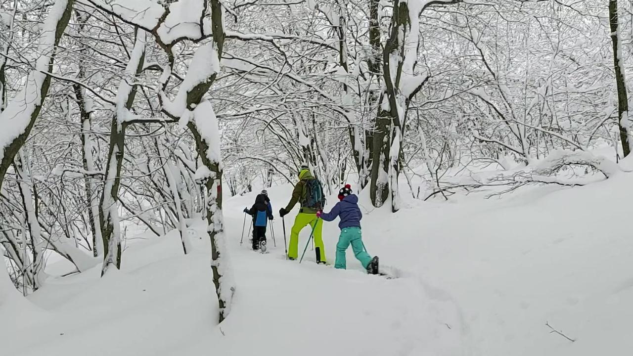 Gran Paradiso Alpette Exterior foto