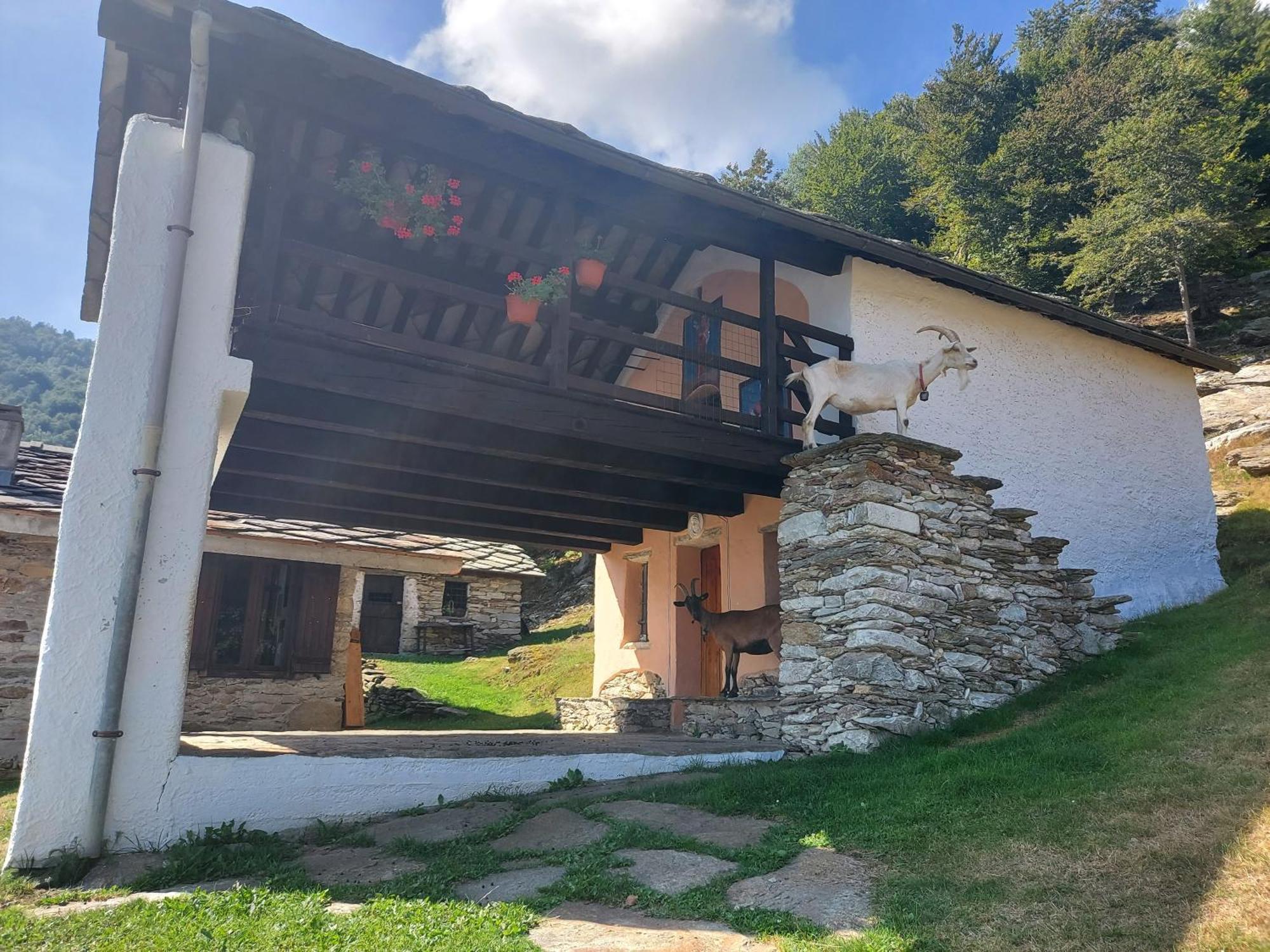 Gran Paradiso Alpette Exterior foto